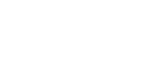 DFestival logo